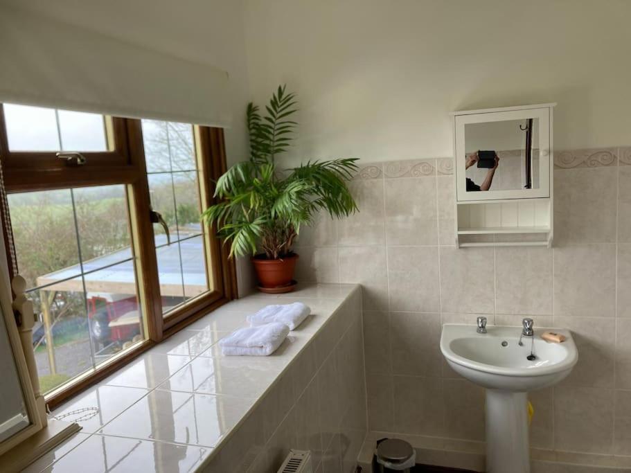 Bryntirion Farmhouse Rooms Llanfair Caereinion Eksteriør bilde